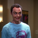 The Big Bang Theory
